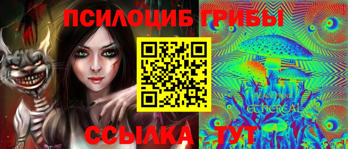 Галлюциногенные грибы MAGIC MUSHROOMS  Вход с VPN  Владикавказ 