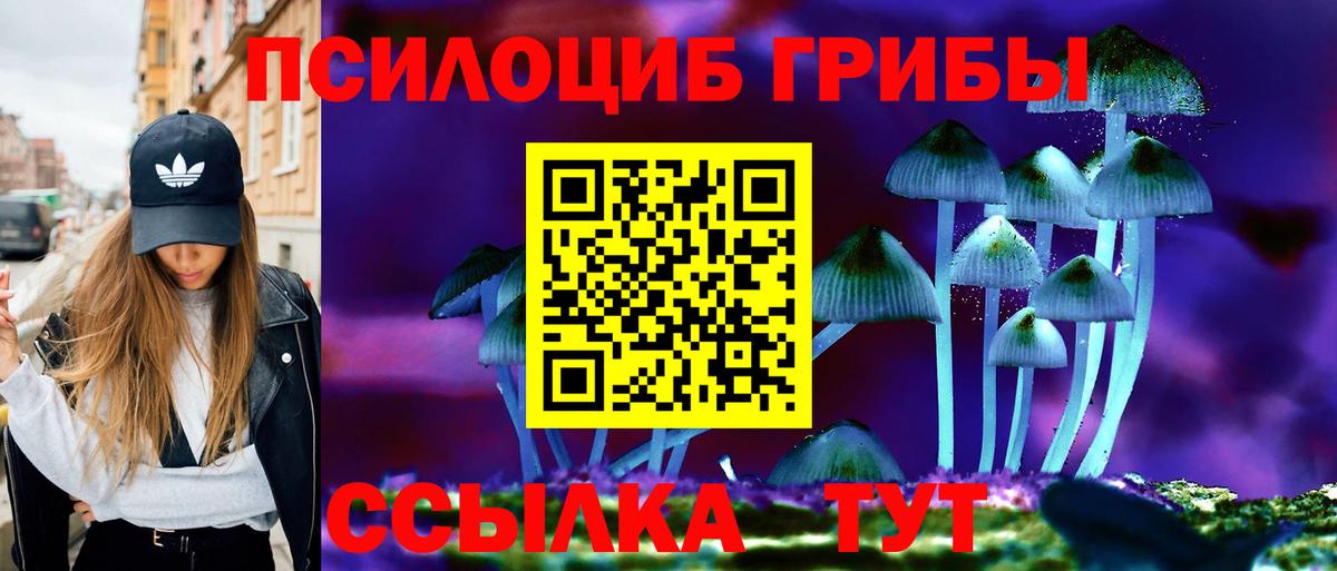 Галлюциногенные грибы мухоморы Владикавказ